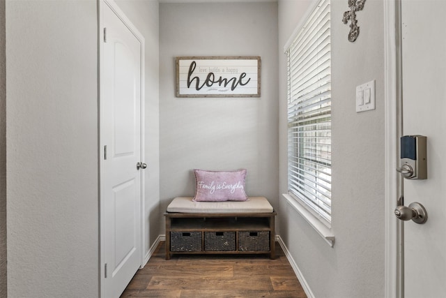 mudroom with baseboards and dark wood-style flooring