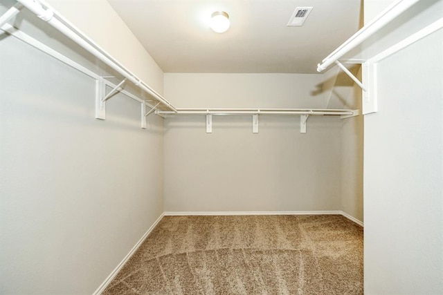 walk in closet featuring carpet and visible vents