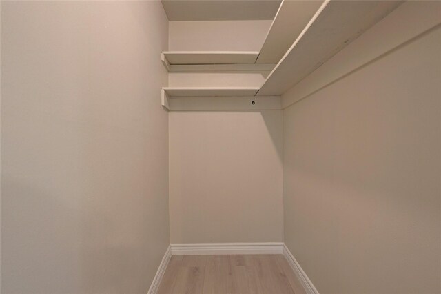 walk in closet with light wood-type flooring