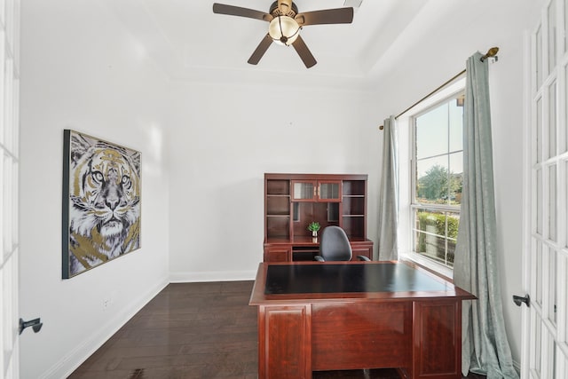 unfurnished office featuring a ceiling fan, a raised ceiling, dark wood finished floors, and baseboards