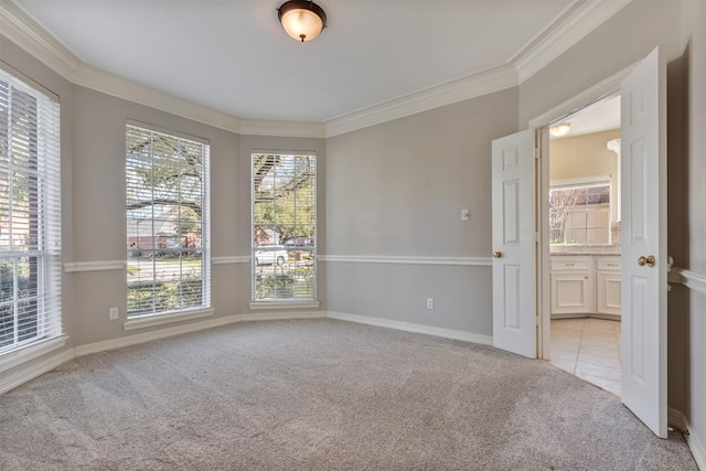 spare room featuring baseboards, crown molding, and light colored carpet