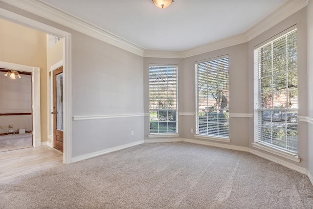 spare room with ornamental molding, carpet, and baseboards