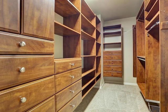 walk in closet featuring carpet flooring