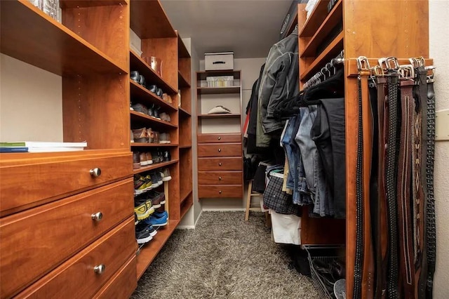 spacious closet with carpet floors