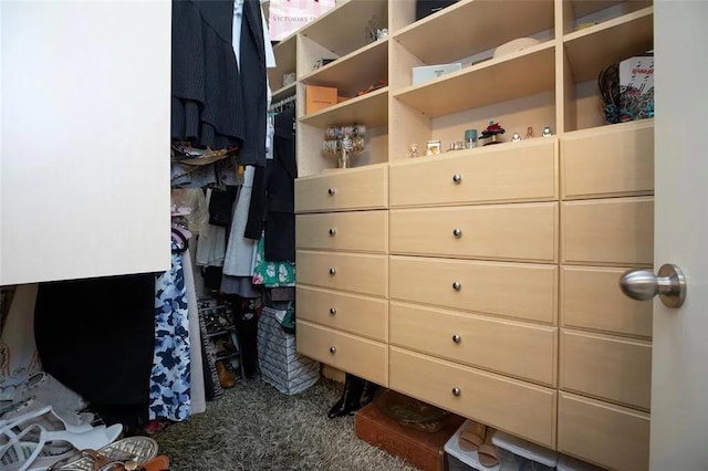 spacious closet with carpet