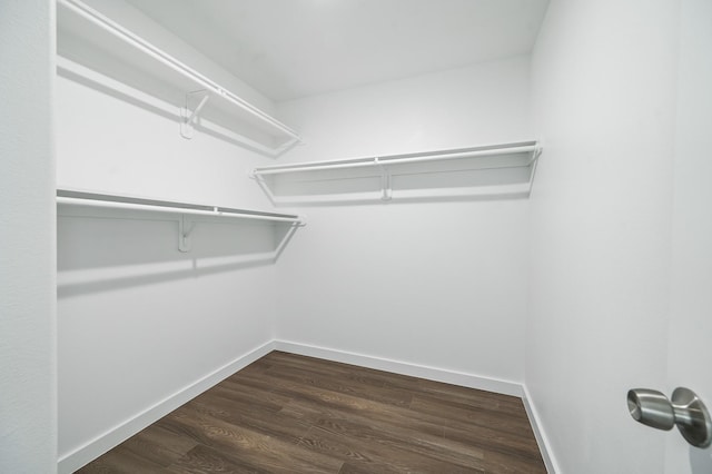 walk in closet featuring dark wood finished floors