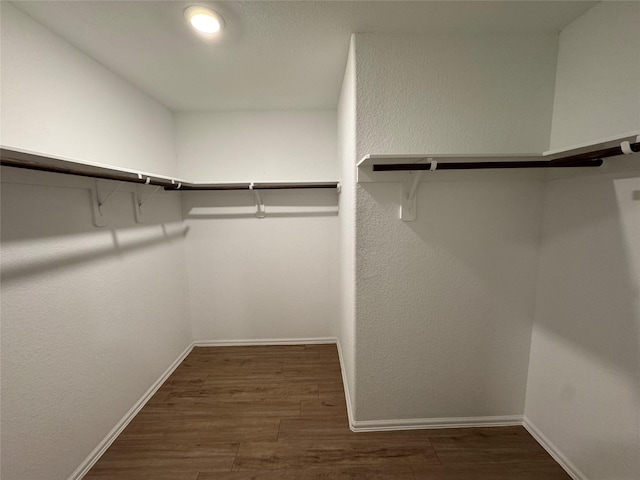 walk in closet featuring wood finished floors