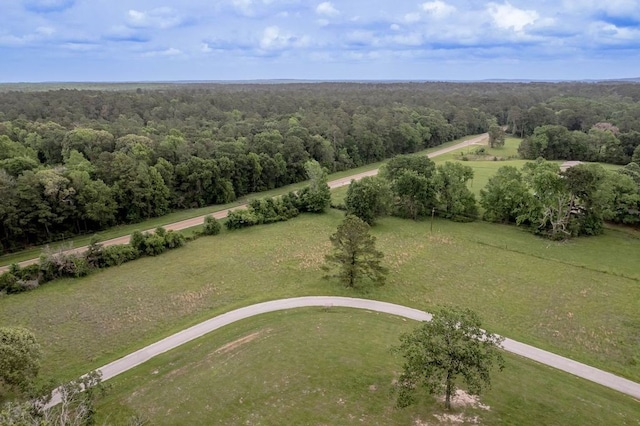 Listing photo 3 for 0 Peach Island Rd, Trinity TX 75862