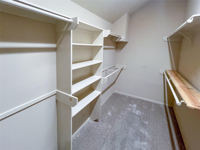 spacious closet with carpet