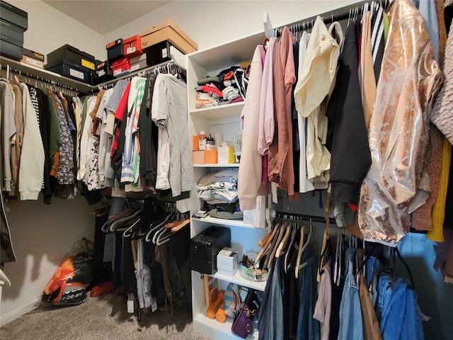 spacious closet featuring carpet floors