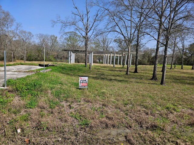 00CR377 Patricia Ln, Alvin, TX 77511