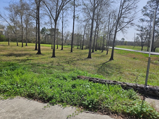 00CR377 Patricia Ln, Alvin, TX 77511