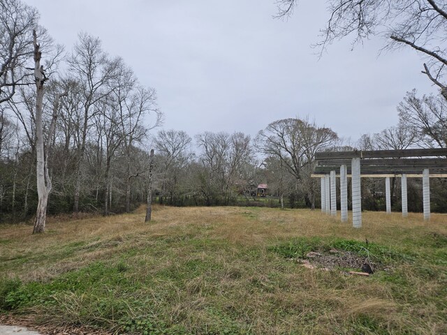 00CR377 Patricia Ln, Alvin, TX 77511