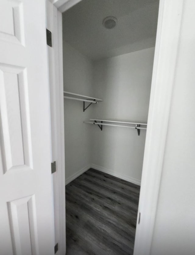 spacious closet featuring dark wood finished floors