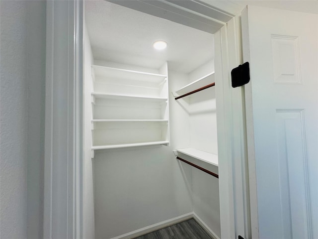 spacious closet featuring dark wood finished floors