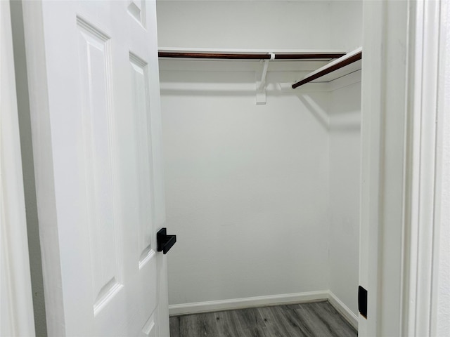 walk in closet featuring wood finished floors