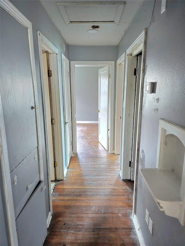 hall featuring hardwood / wood-style flooring and attic access