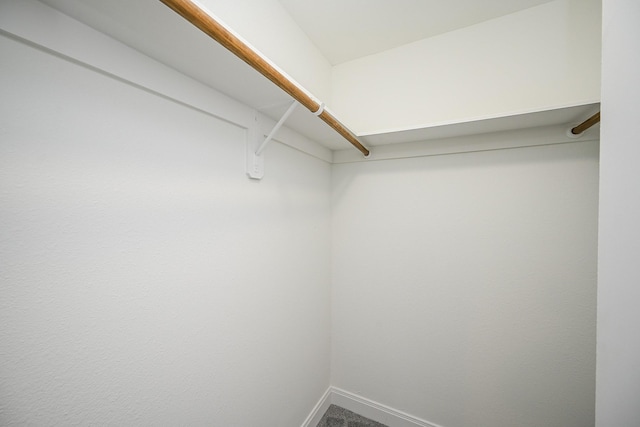 spacious closet featuring carpet flooring