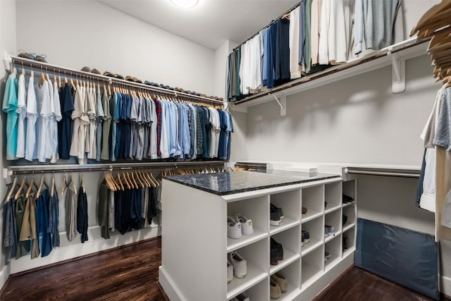 spacious closet with dark wood finished floors