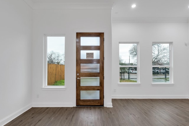 entryway featuring ornamental molding, plenty of natural light, baseboards, and wood finished floors