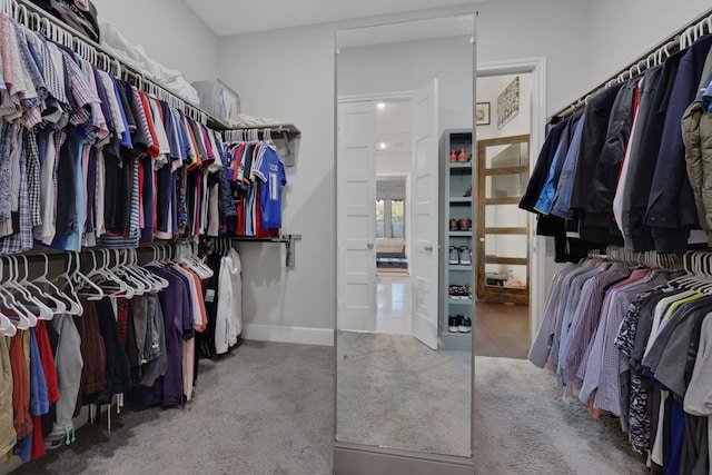 walk in closet featuring carpet