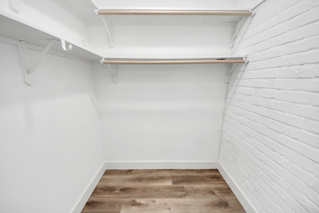 walk in closet featuring wood finished floors