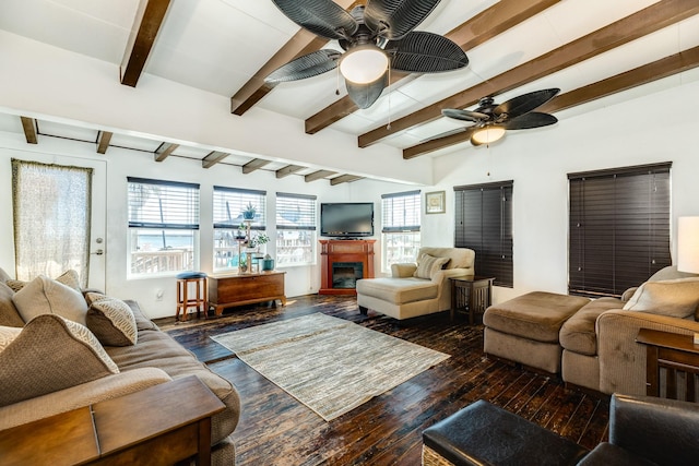 living room with a fireplace, wood finished floors, and a healthy amount of sunlight