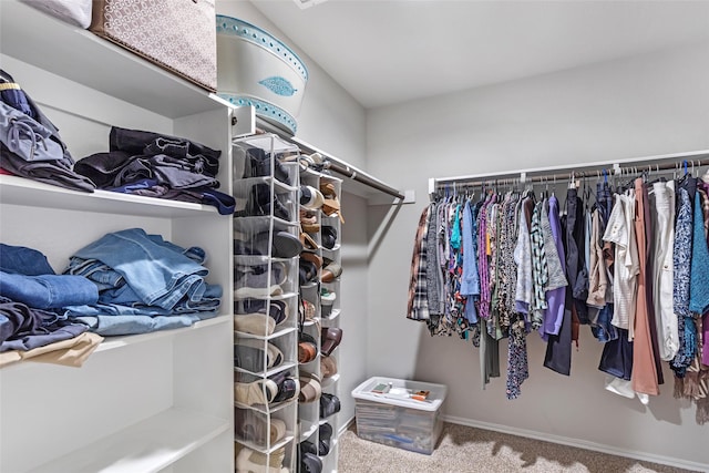 walk in closet featuring carpet flooring