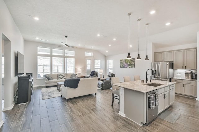 kitchen featuring open floor plan, stainless steel appliances, a sink, and wood tiled floor