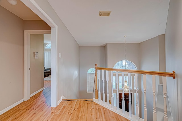 corridor with visible vents, baseboards, and wood finished floors