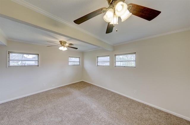 empty room featuring carpet, baseboards, and ornamental molding