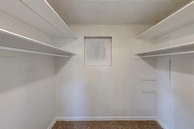 walk in closet with carpet floors