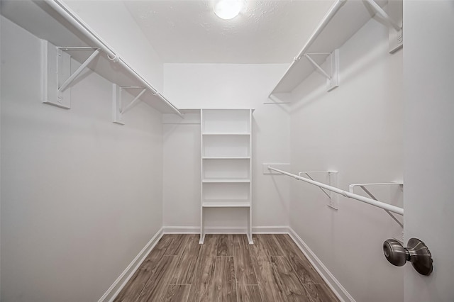 spacious closet featuring wood finished floors