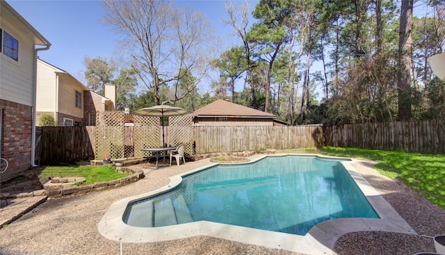 view of pool featuring a patio, a fenced backyard, and a fenced in pool