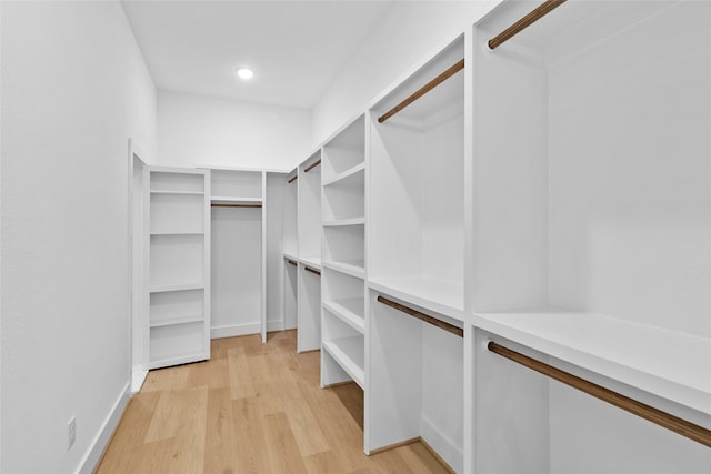 spacious closet featuring light wood finished floors