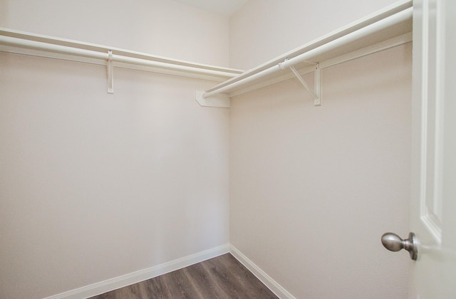 26810 Blacktail Ct, Hockley, TX 77447 - walk in closet with dark wood-style flooring
