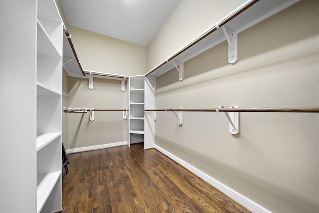 walk in closet with wood finished floors