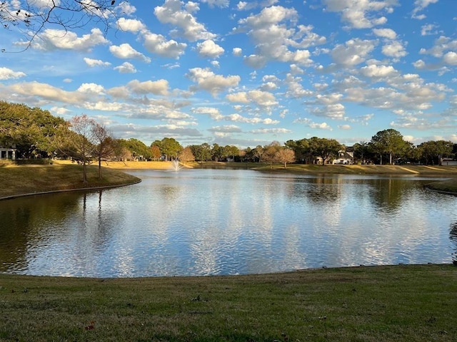 property view of water