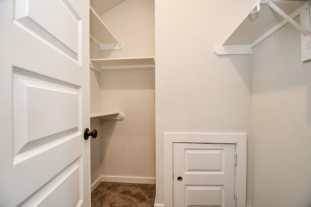 walk in closet with carpet flooring