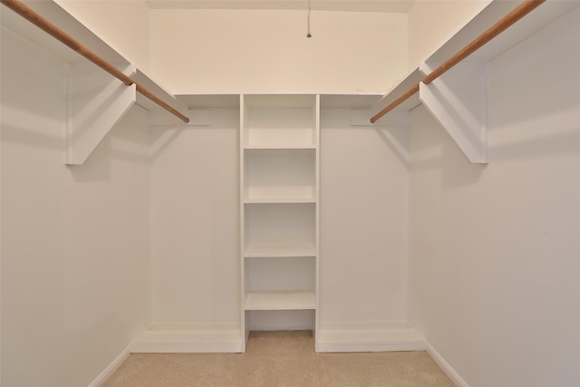 spacious closet featuring light carpet