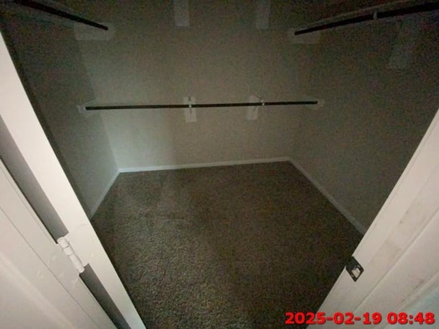 walk in closet featuring carpet floors