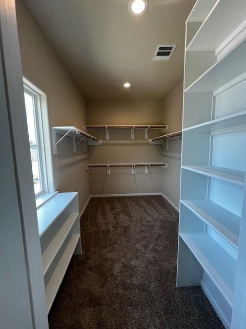 spacious closet with carpet floors and visible vents