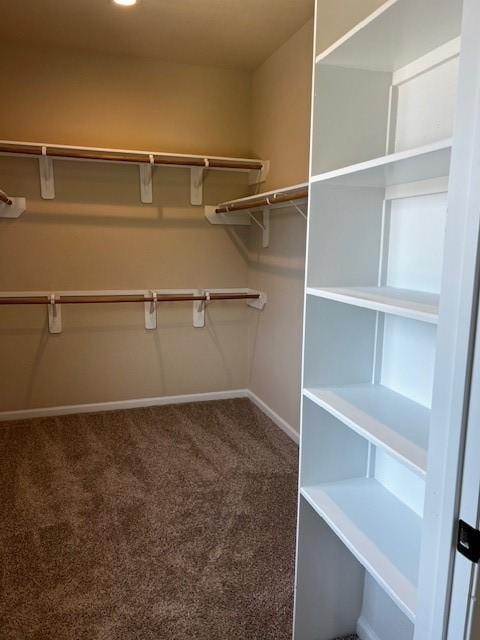 walk in closet with carpet floors