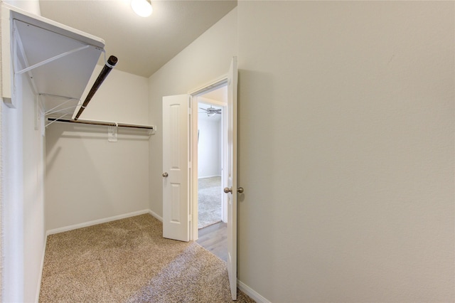 spacious closet with carpet floors