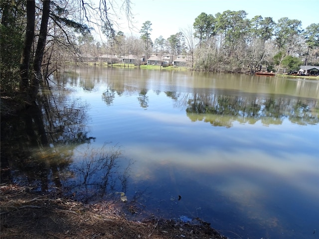 Listing photo 2 for TBD Yellowstone River Rd, Conroe TX 77316