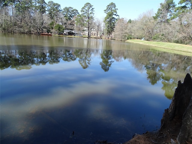 Listing photo 3 for TBD Yellowstone River Rd, Conroe TX 77316