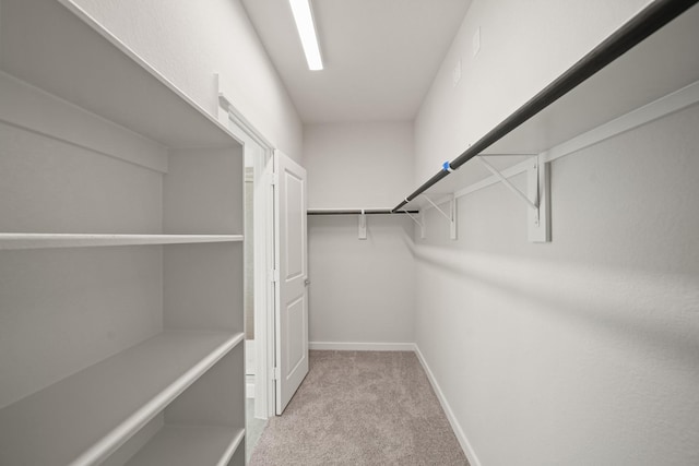 spacious closet with carpet floors