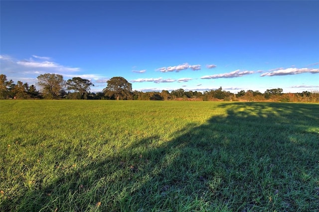 0080 County Road 415, Navasota, TX 77868 - photo 12