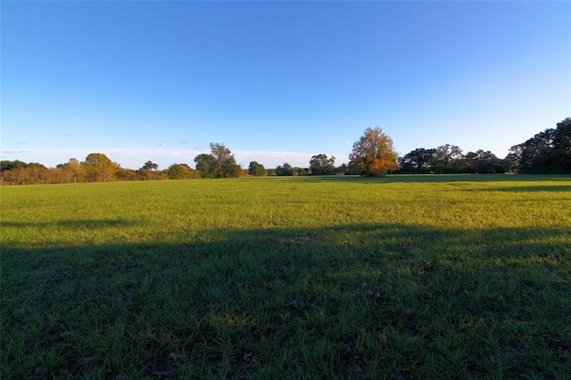 0080 County Road 415, Navasota, TX 77868 - photo 13
