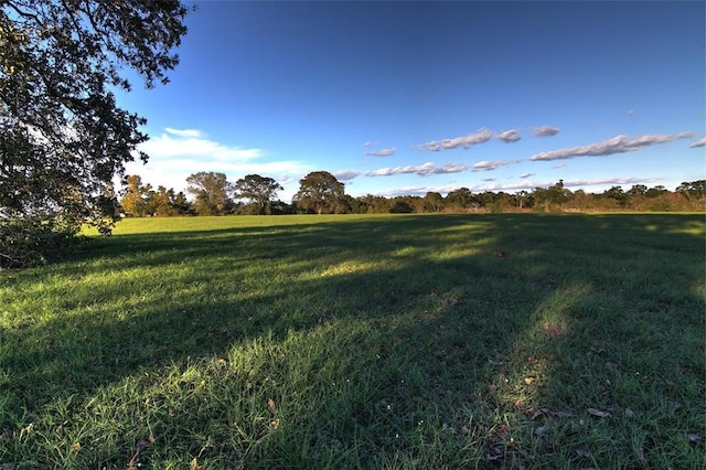 0080 County Road 415, Navasota, TX 77868 - photo 14